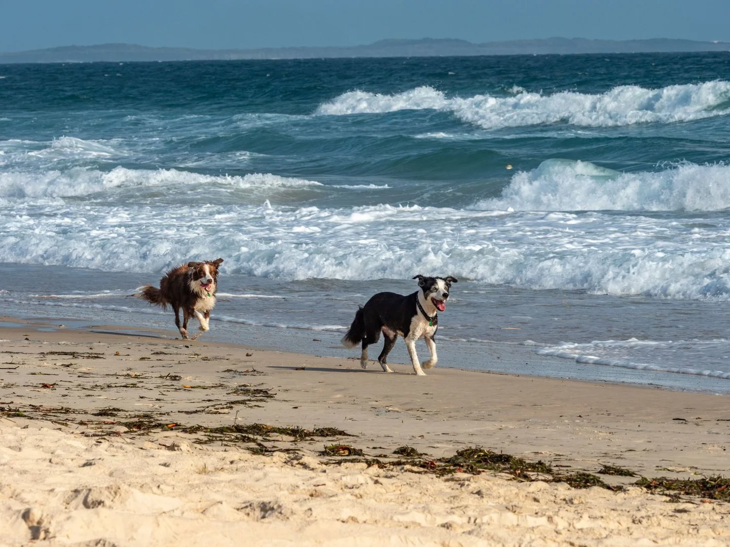 Additional image 4 of Point Lookout QLD 4183
