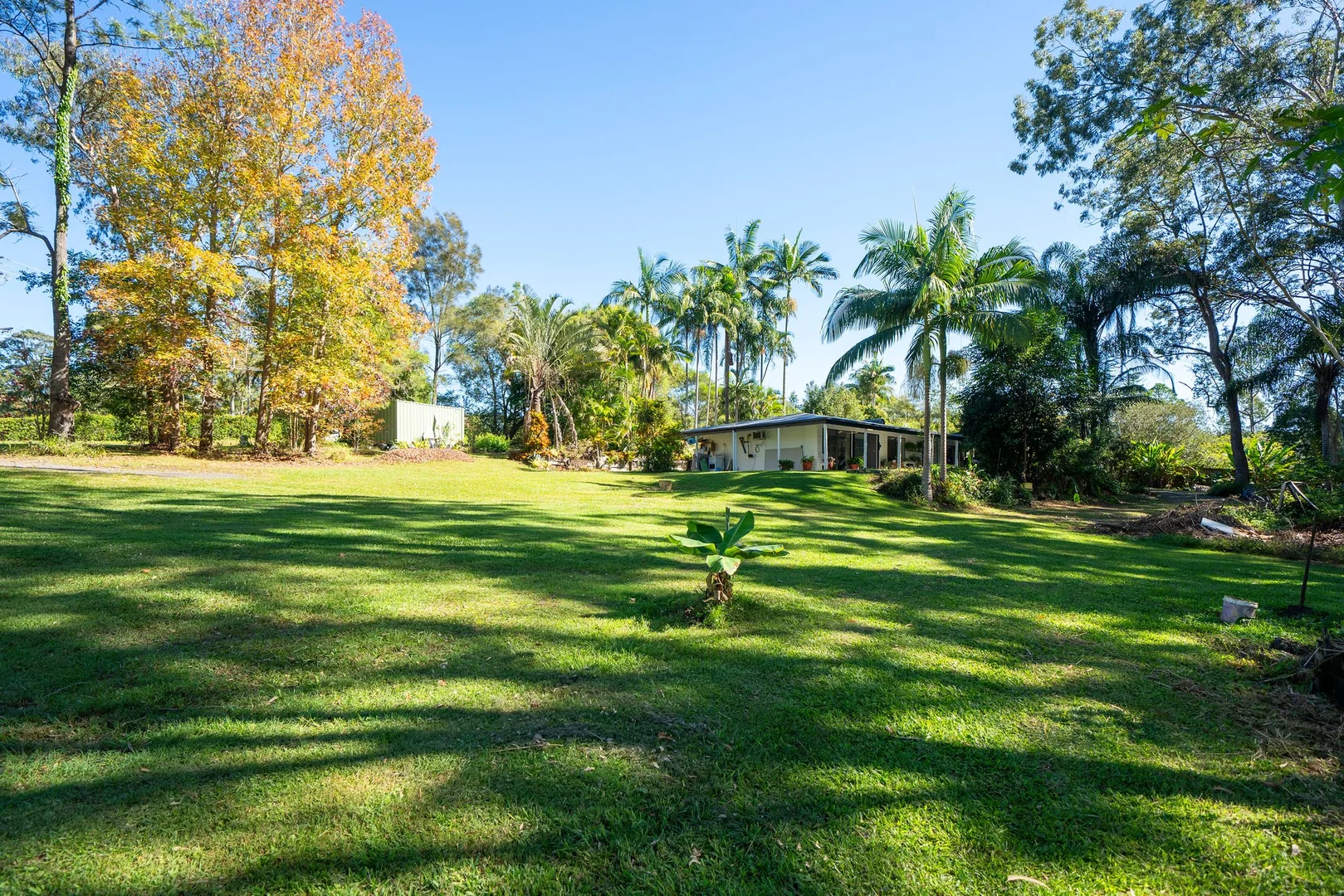 Image 14