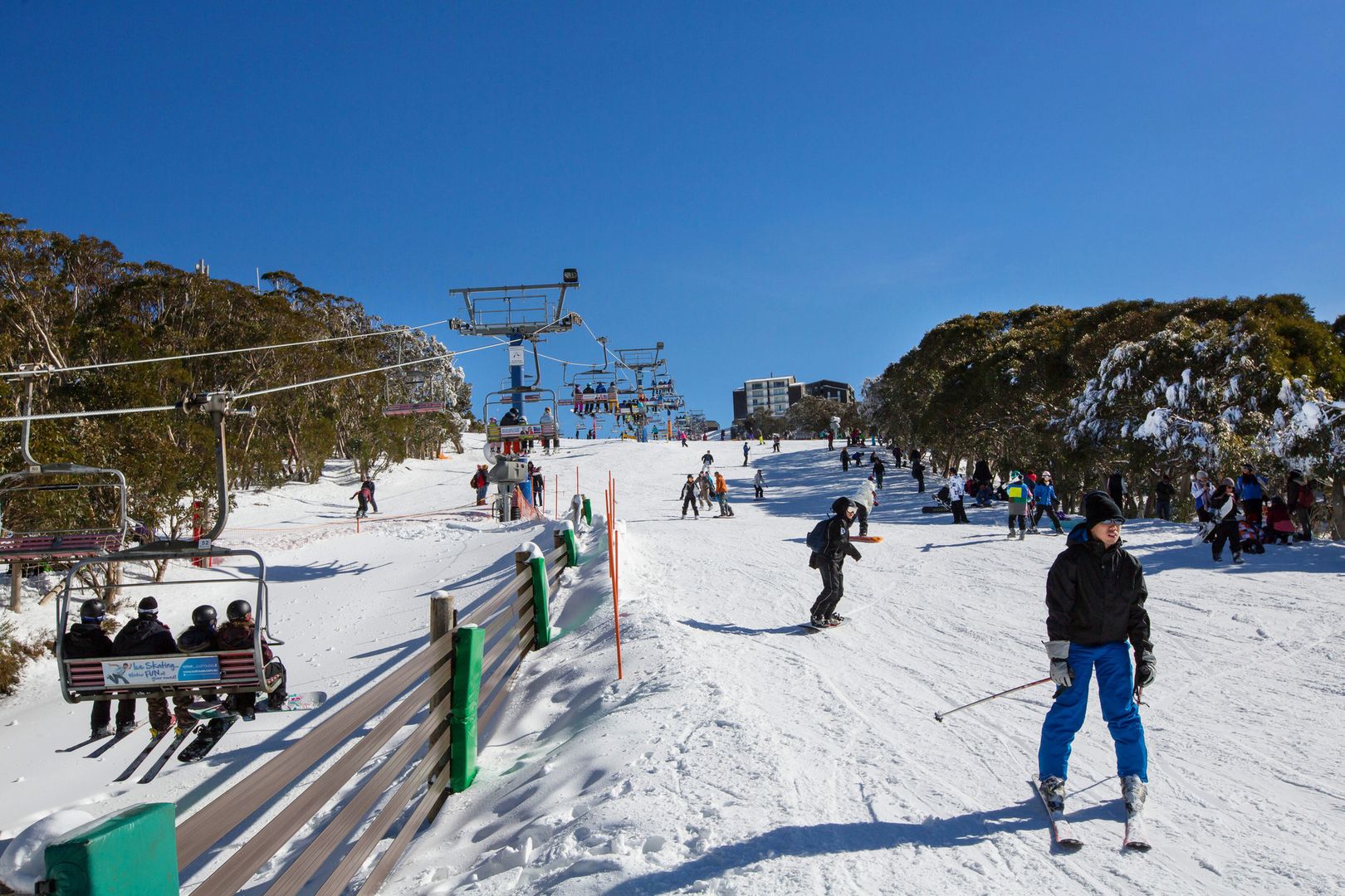 A401 41 Summit Road Mount Buller Vic 3723 Domain