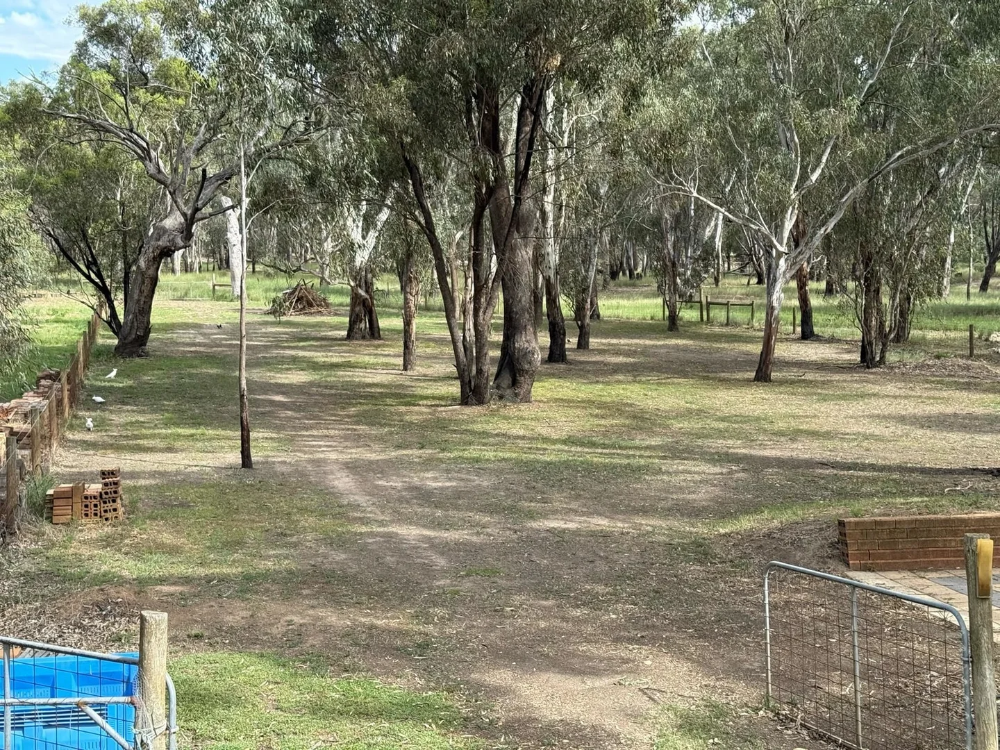 Additional image 7 of 38 Furphy Avenue, Kialla VIC 3631