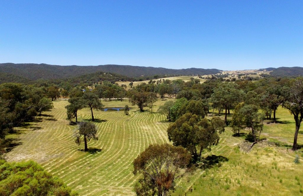3553 junction Point Road, Binda NSW 2583 Vacant Land for Sale 275,000