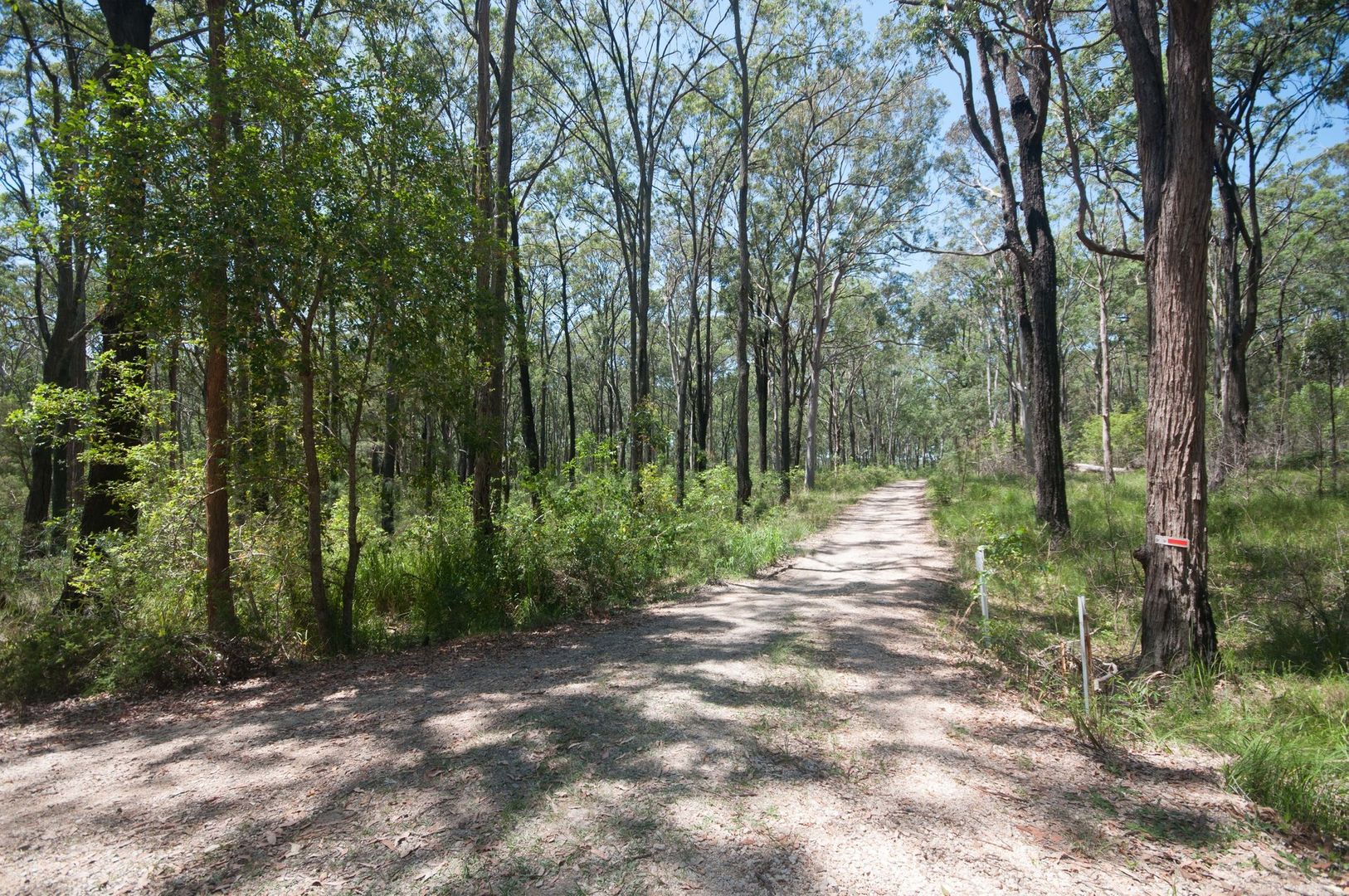 Lot 3220 Manilla Crescent, North Arm Cove NSW 2324, Image 2