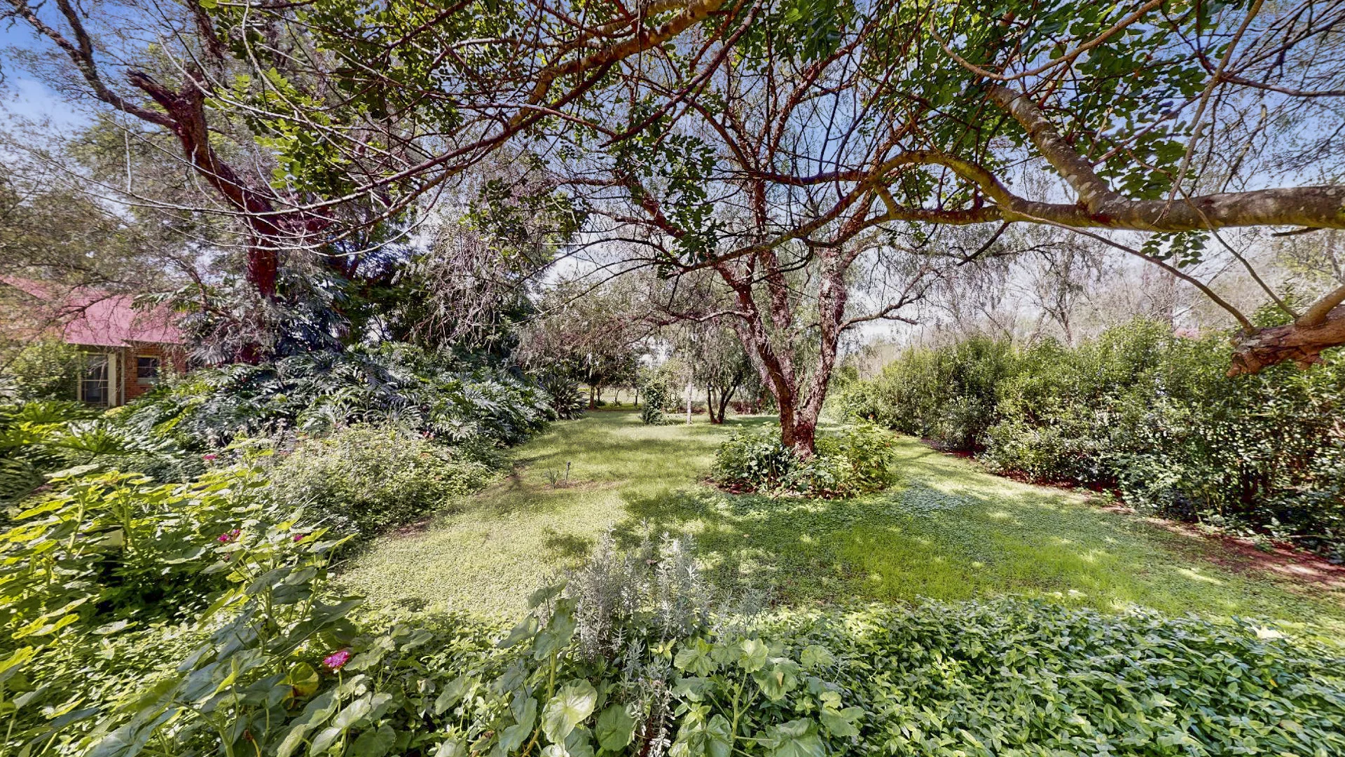 Additional image 13 of 33-35 Raworth Street, Singleton NSW 2330