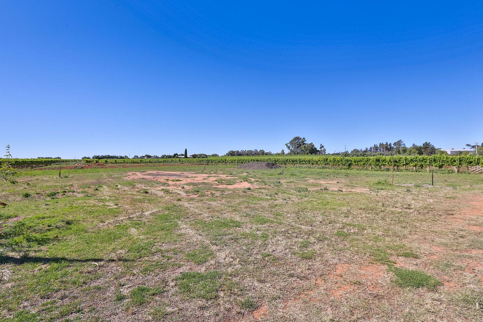 Lot 1/9260 Calder Highway, Irymple VIC 3498, Image 2