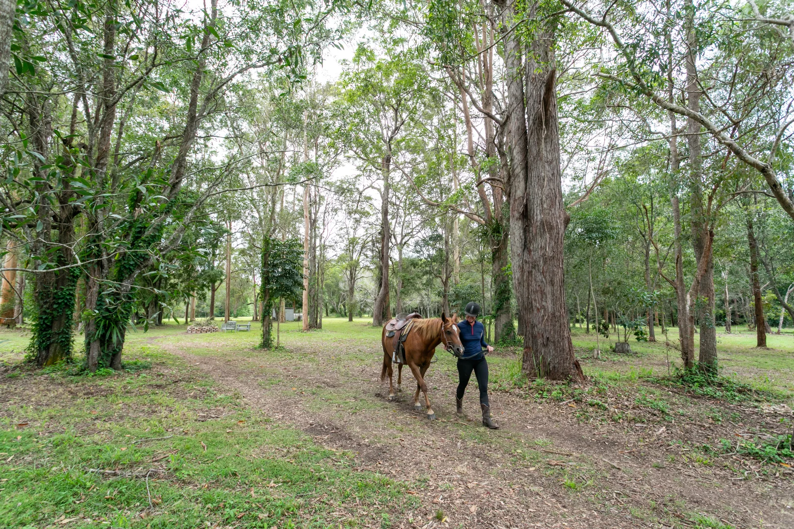 Additional image 27 of 46 Knobby Glen Road, Kandanga QLD 4570