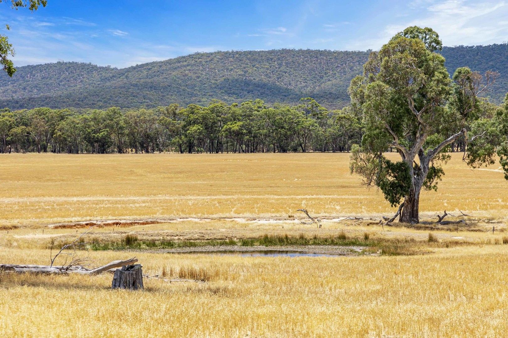 Landsborough-Elmhurst Road, Landsborough VIC 3384, Image 0