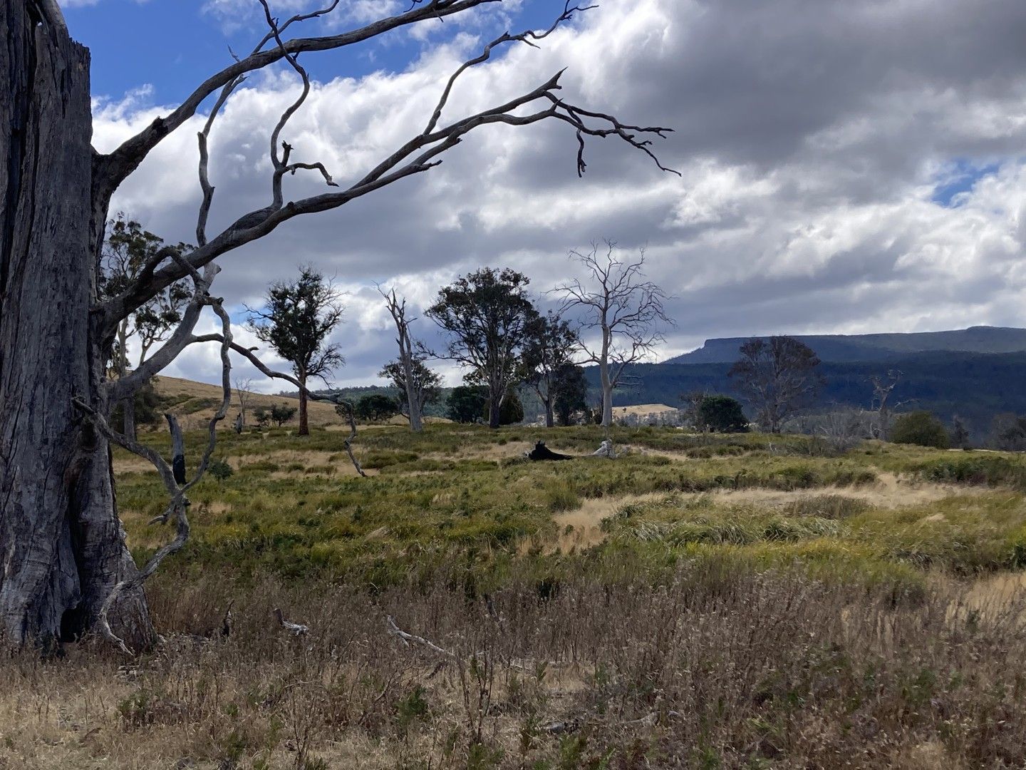 . Rotherwood Road, Lower Marshes TAS 7030, Image 0