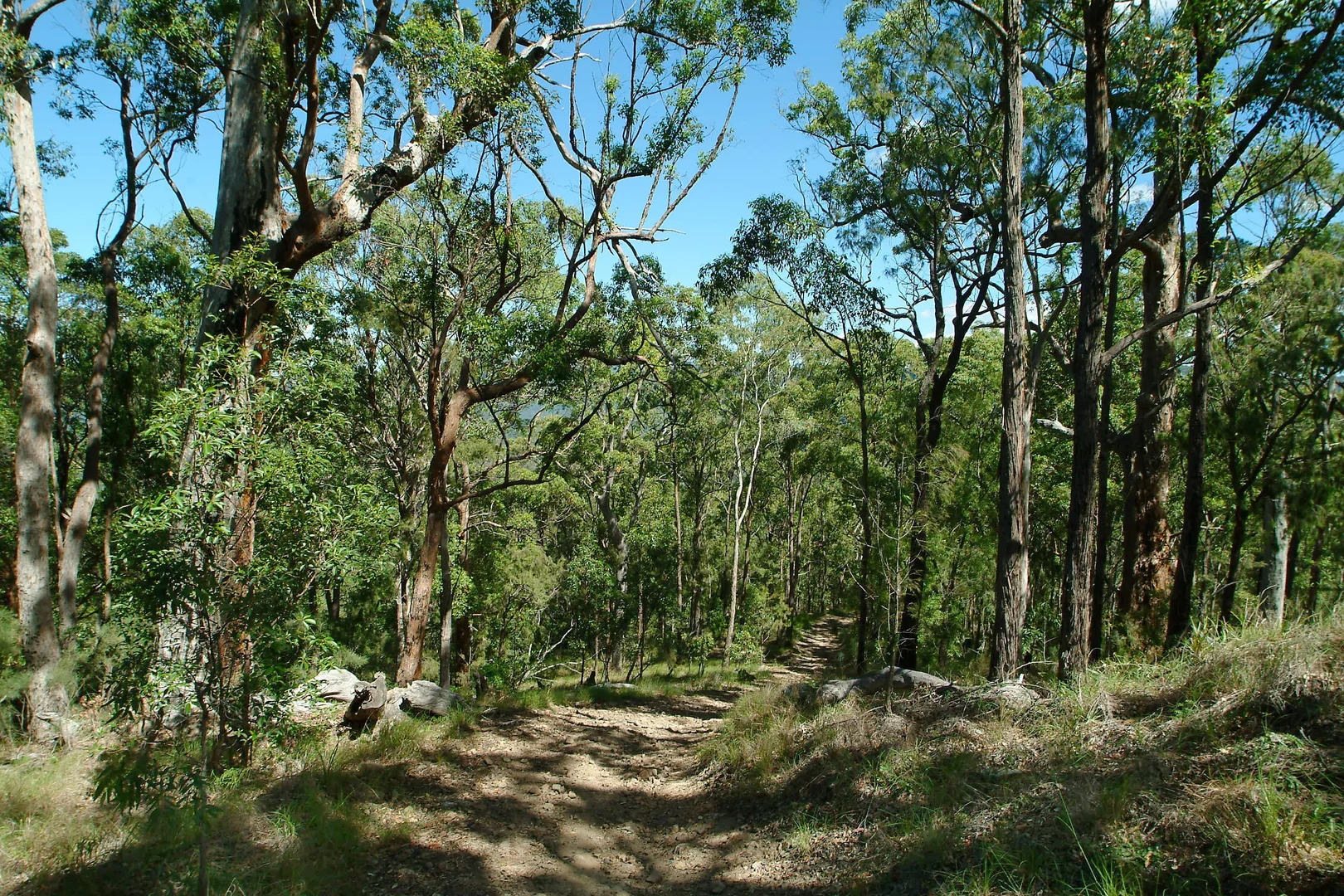 Image 17