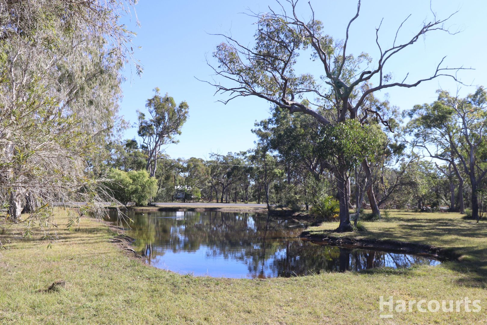 155 Pacific Haven Circuit Pacific Haven QLD 4659 Domain