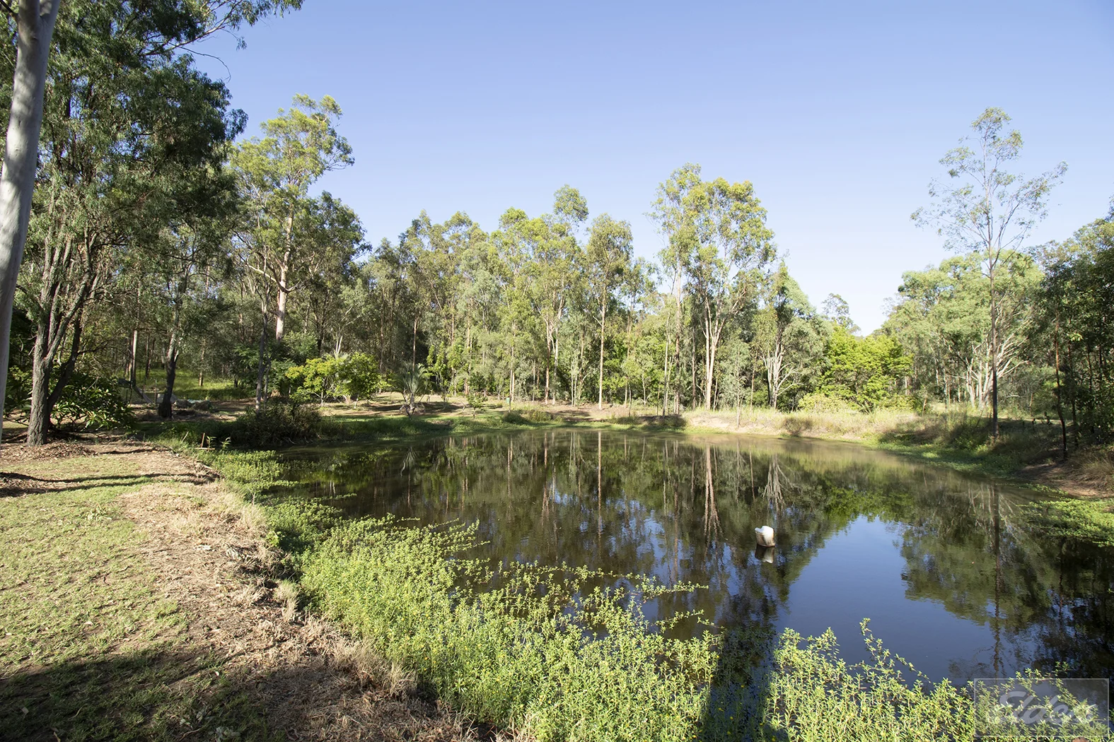 Additional image 16 of 6 Harvey Road, Forest Hill QLD 4342