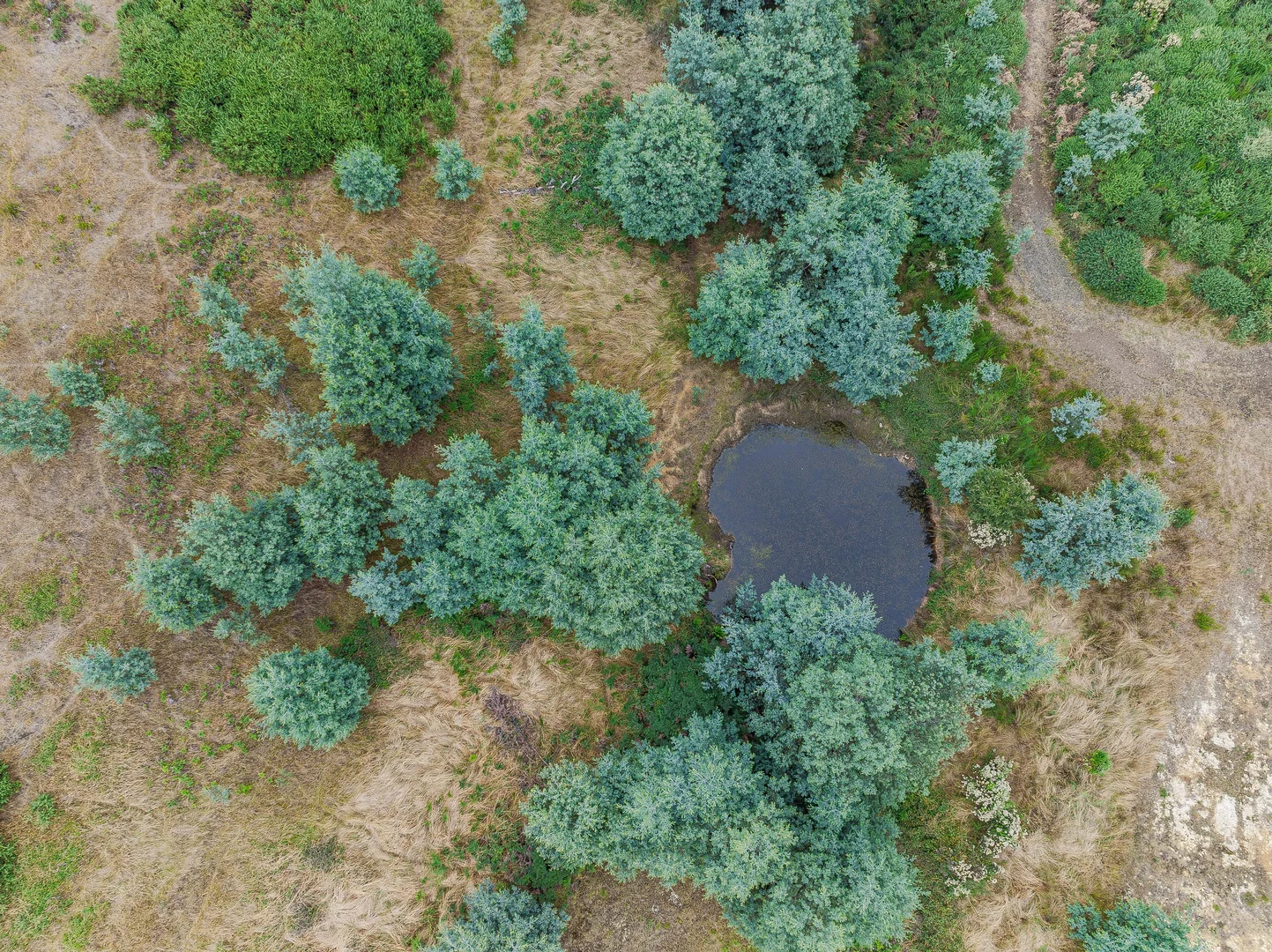 Additional image 14 of Geeveston TAS 7116