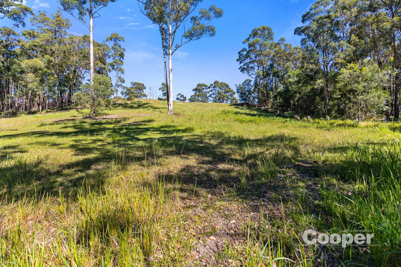 Additional image 9 of 56B Kingiman Road, Woodburn NSW 2538