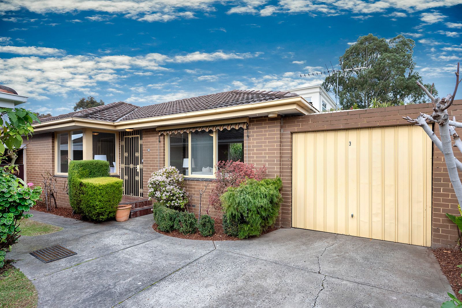 3/136 Windsor Crescent, Surrey Hills VIC 3127, Image 0