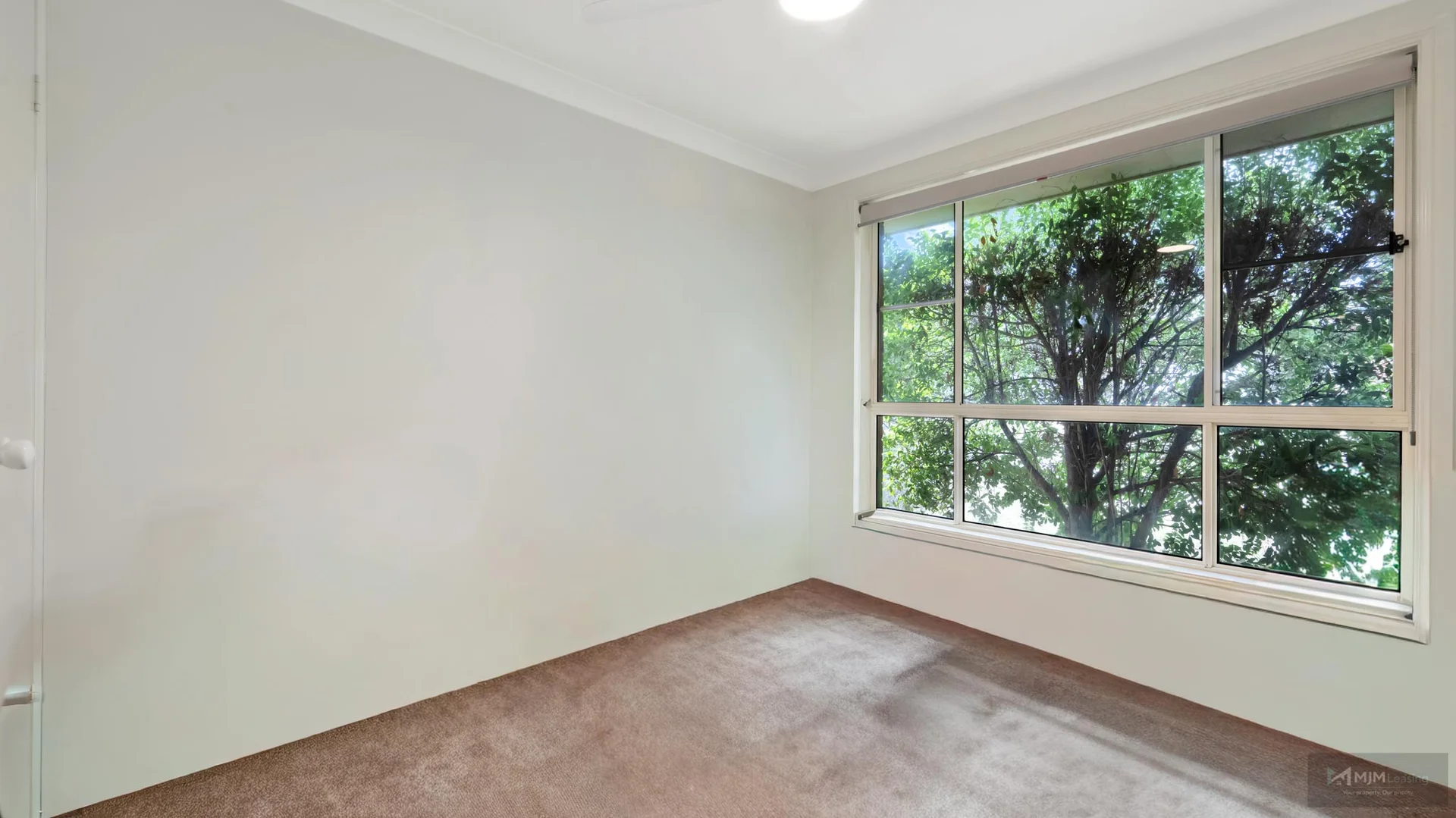 Additional image 6 of 36 Wallamoul Street, Tamworth NSW 2340