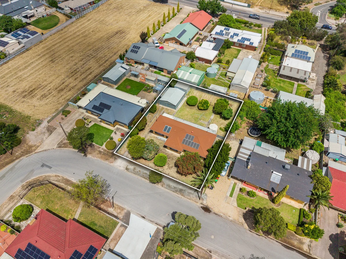 20 Hatch Street, Nuriootpa SA 5355 | Domain