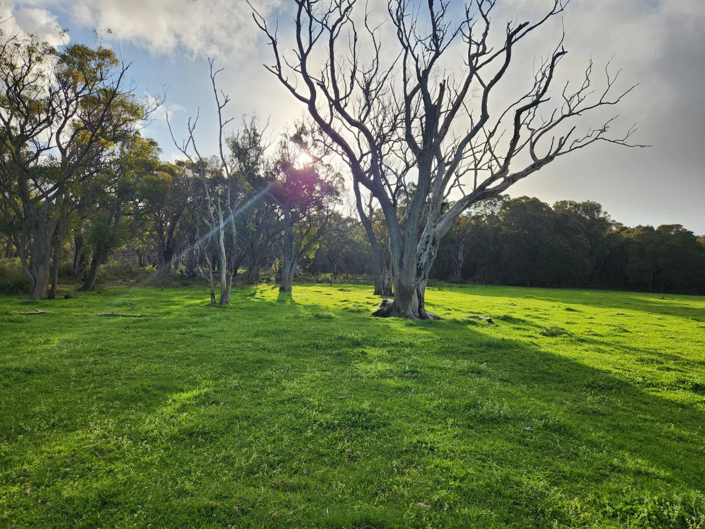 Image 6