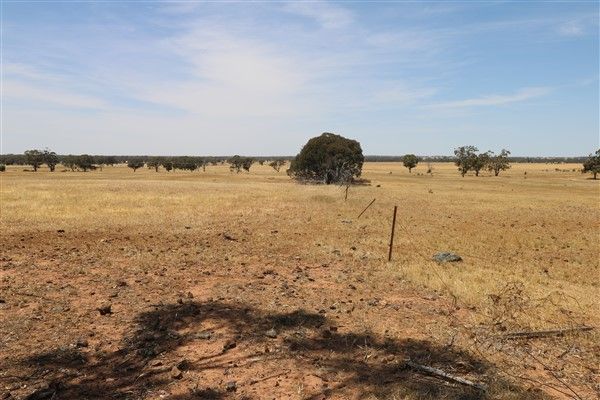 Lot 81 Boort-Wedderburn Road, Korong Vale VIC 3520, Image 1