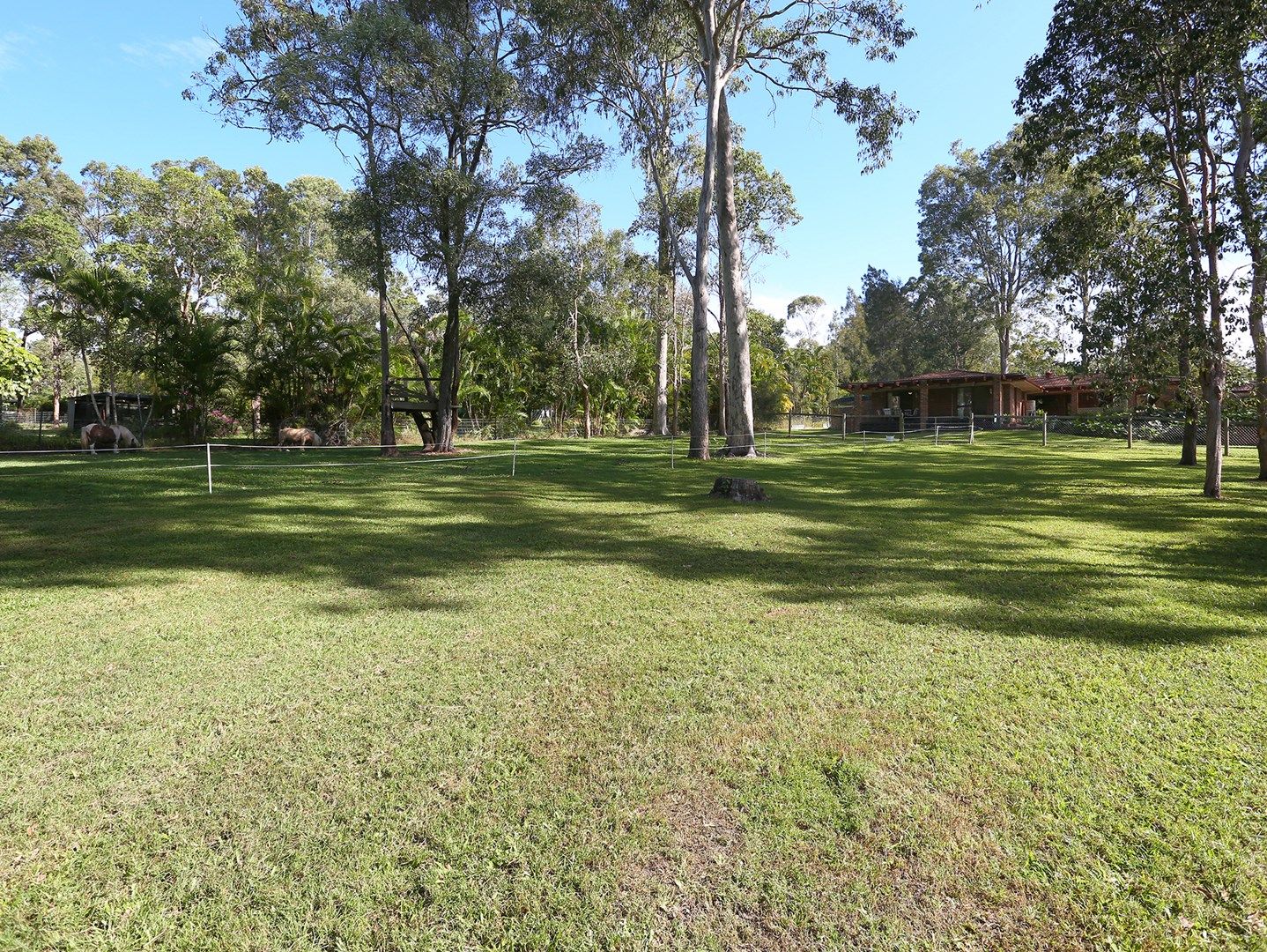 4 Mooralla Street, Tallai QLD 4213, Image 0