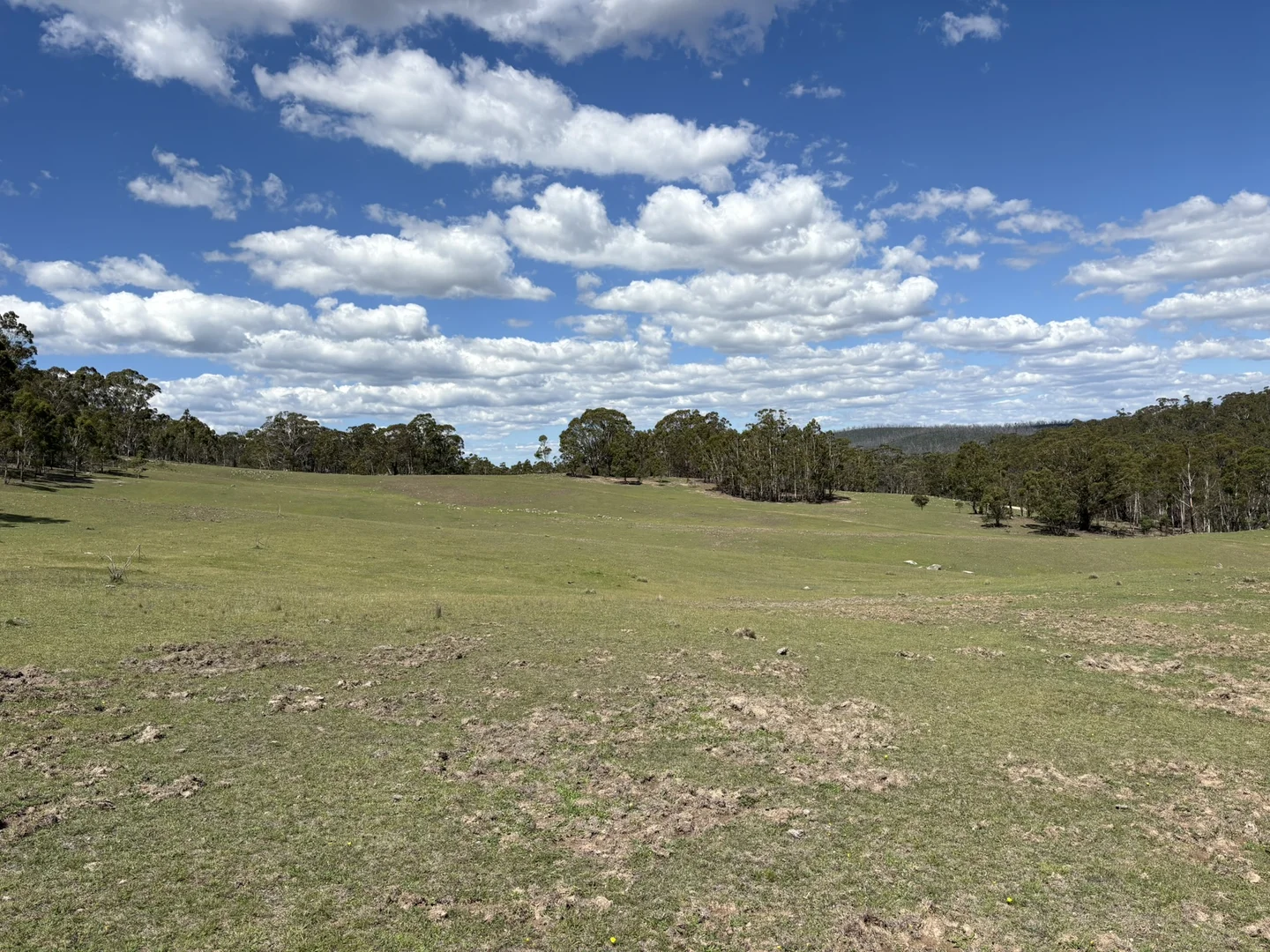 Image 13