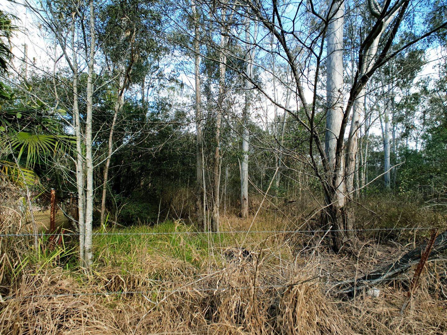 248 Backwater Road, Greenbank QLD 4124, Image 2