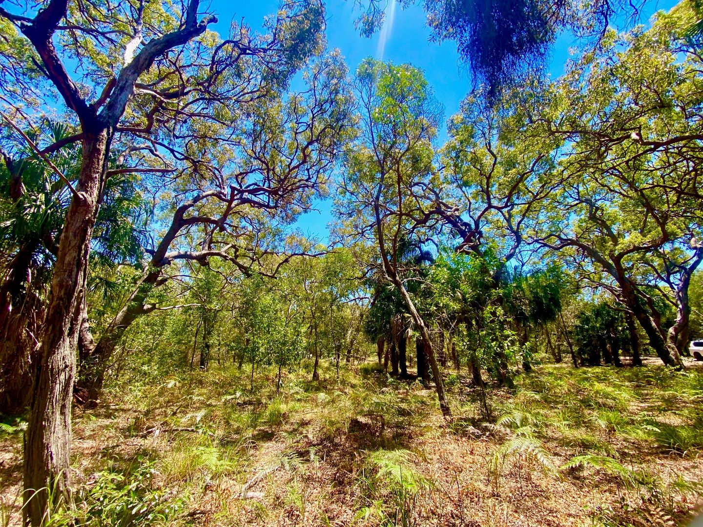 Bloodwood Rd Sunrise, Agnes Water QLD 4677 vacant land for Sale, Offers