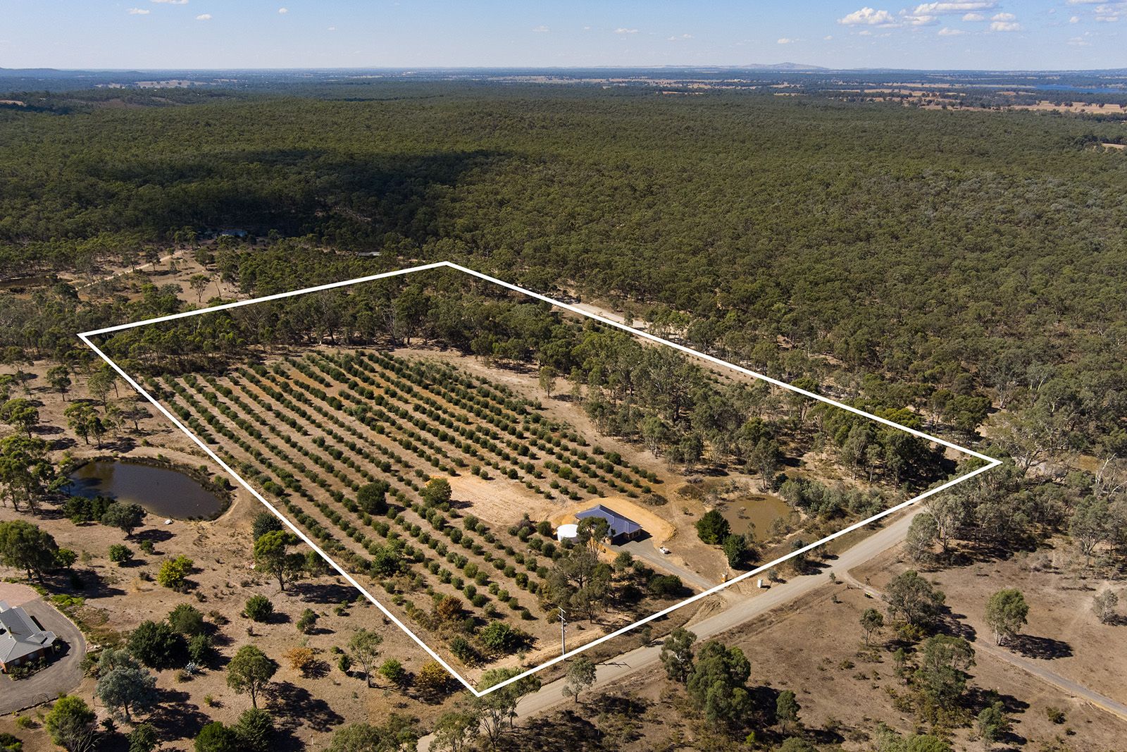 CA 1 A Doles Road, Eppalock VIC 3551 House for Sale Domain