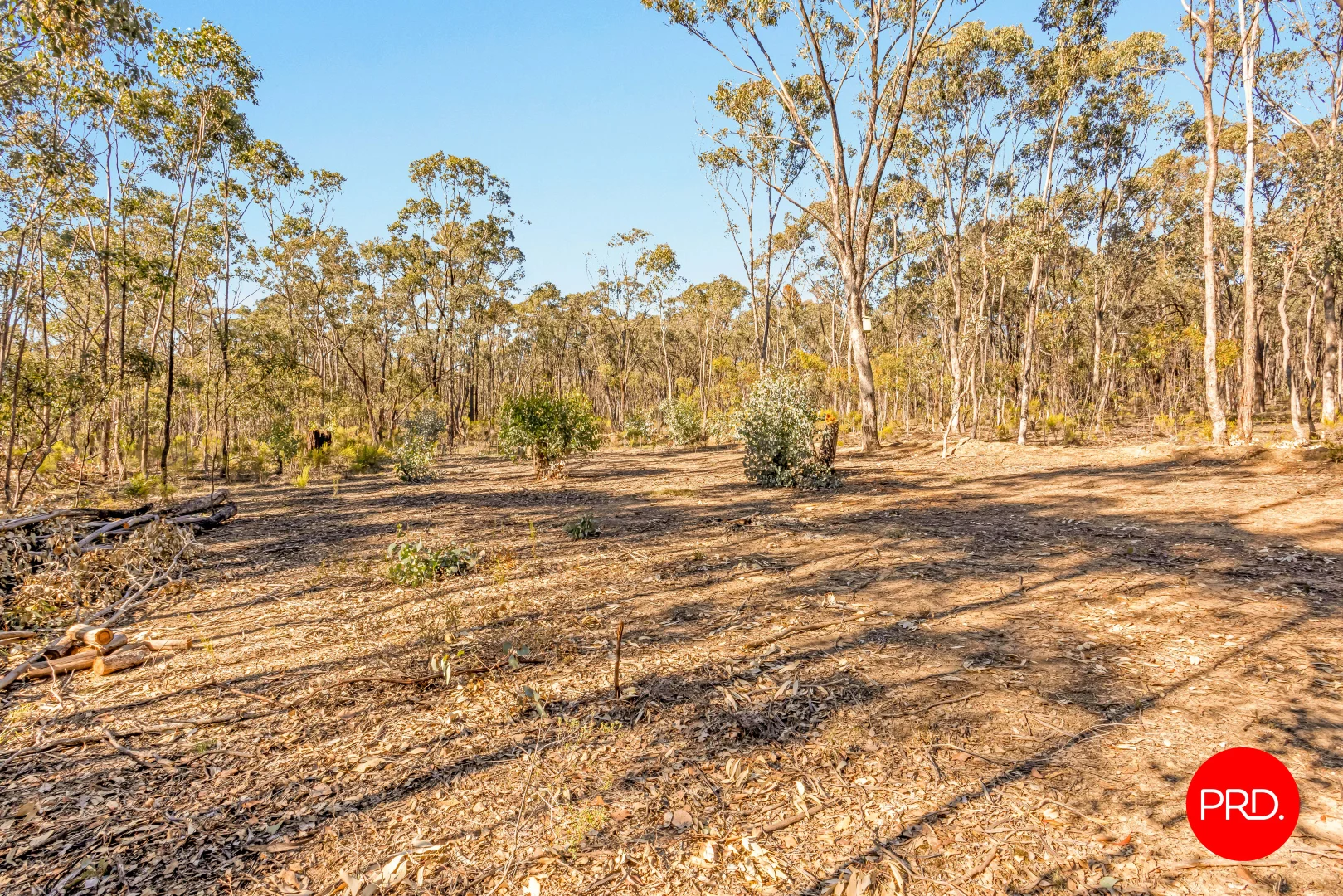 Image 15