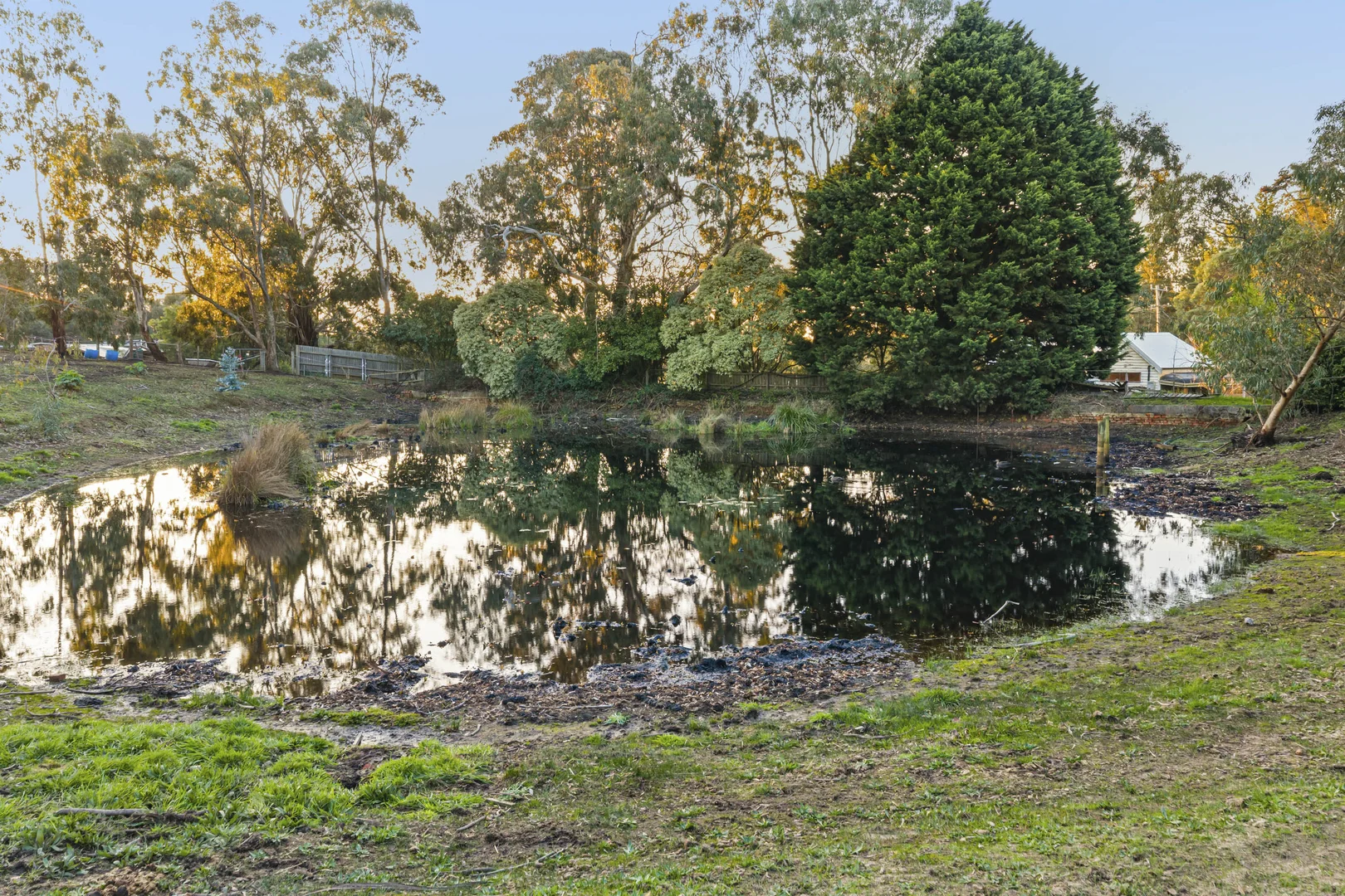 Image 26