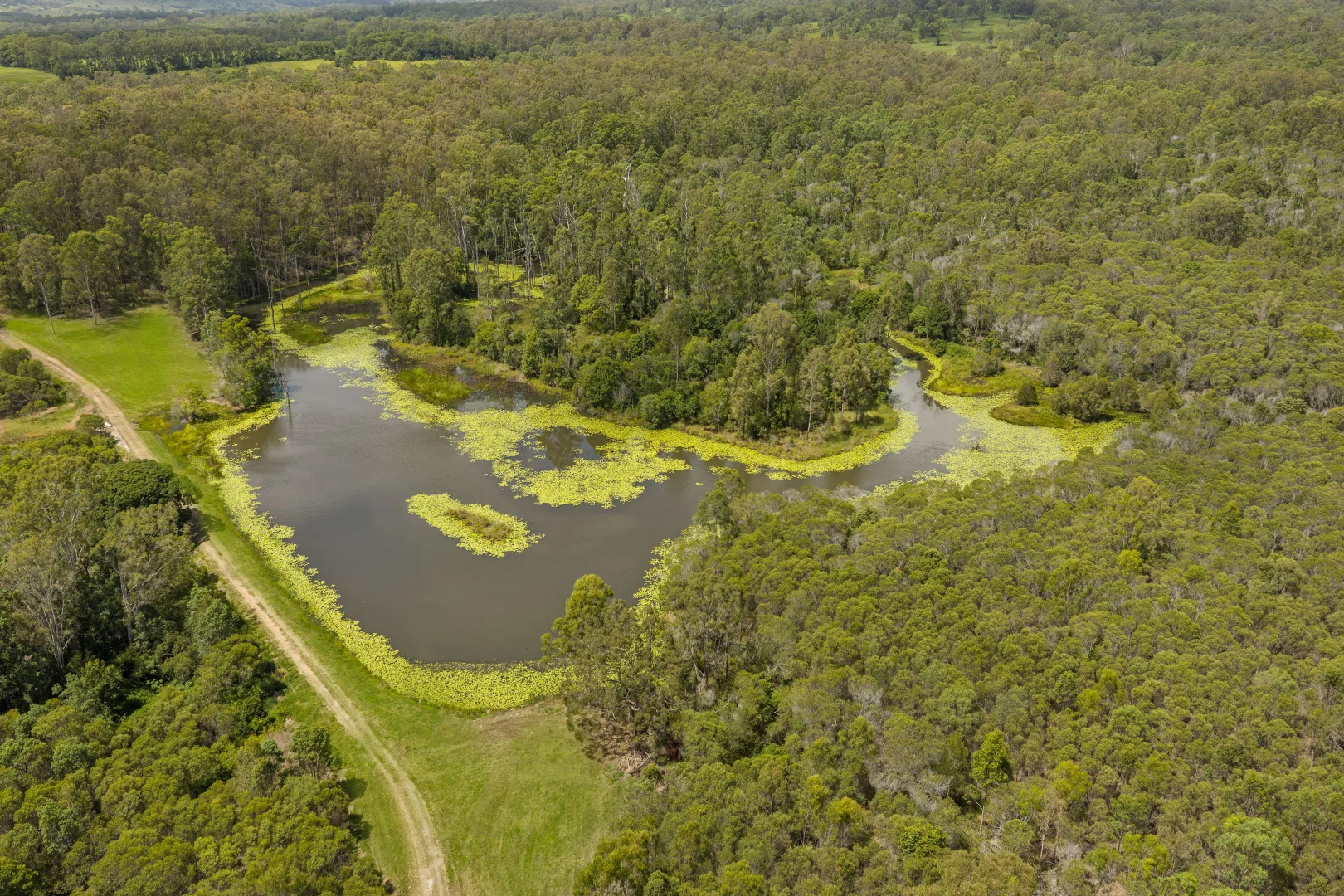 Additional image 25 of 107 Baloghs Road, Anderleigh QLD 4570