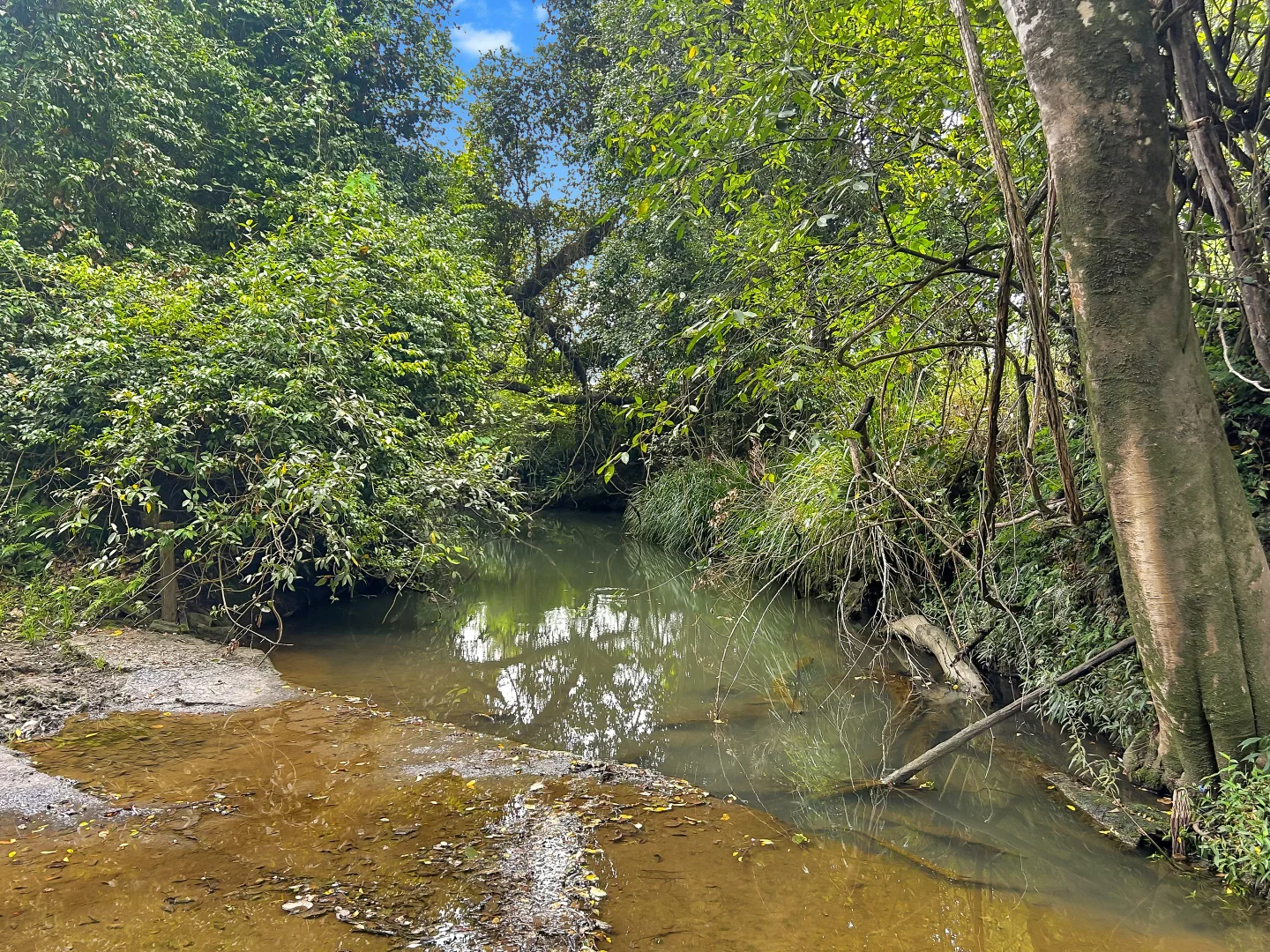 Additional image 9 of Lot 146 Nolans Road, Mummulgum NSW 2469