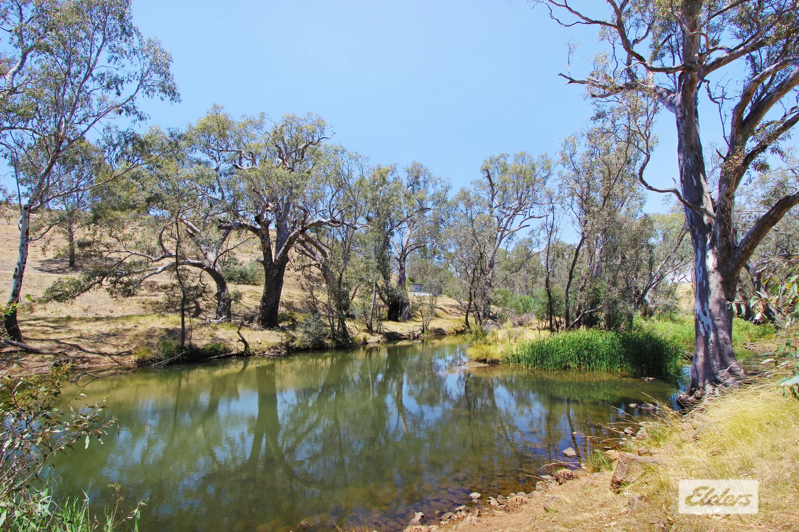 Image 10