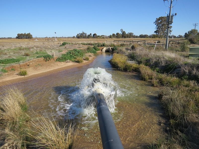 609 Lindifferon Lane, Deniliquin NSW 2710, Image 1