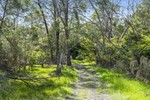 Image 14