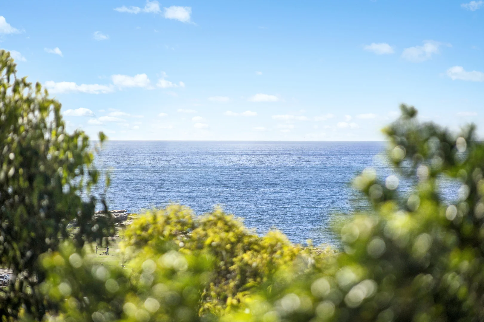 Additional image 6 of 10/18 Melrose Parade, Clovelly NSW 2031