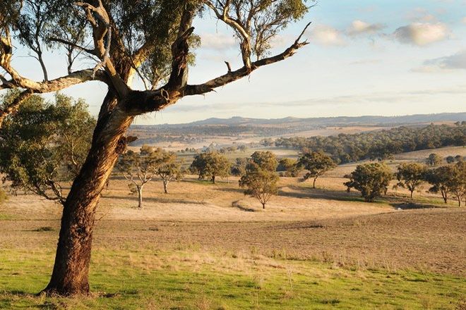 Picture of EVANS PLAINS NSW 2795