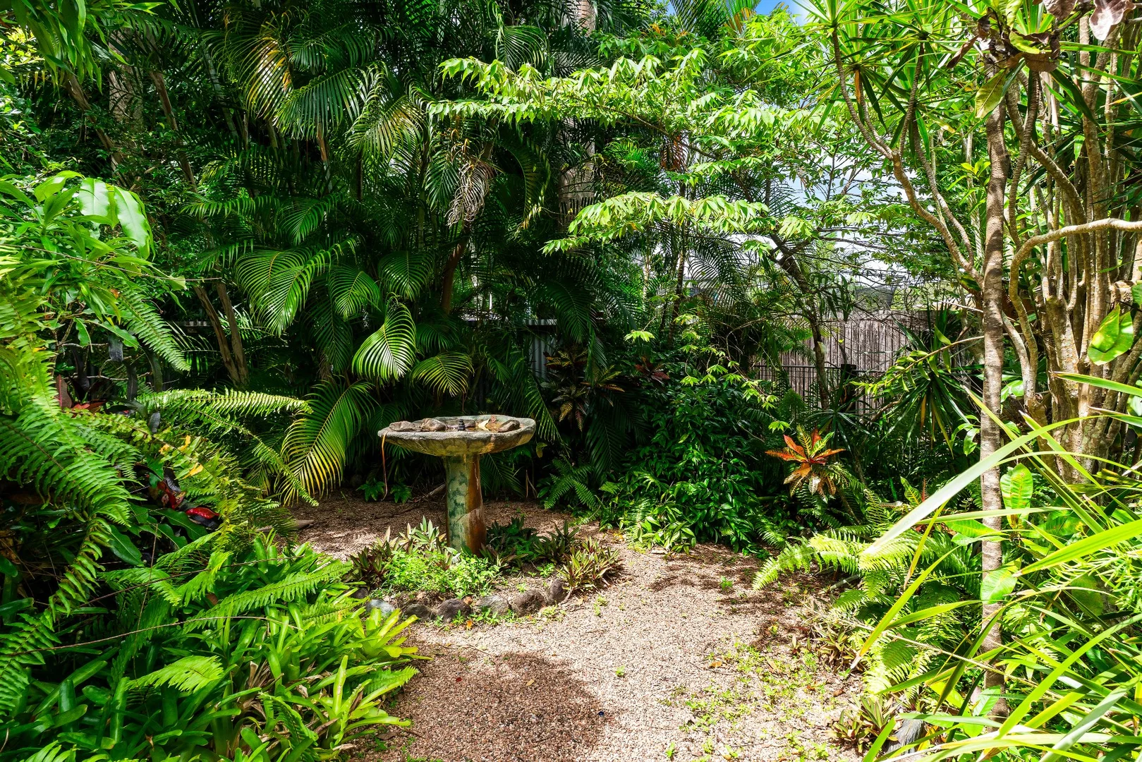 Additional image 10 of 454 Varley Street, Yorkeys Knob QLD 4878