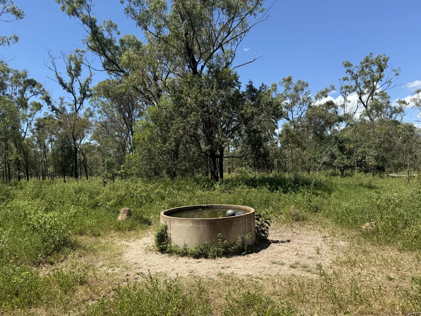 Image 17
