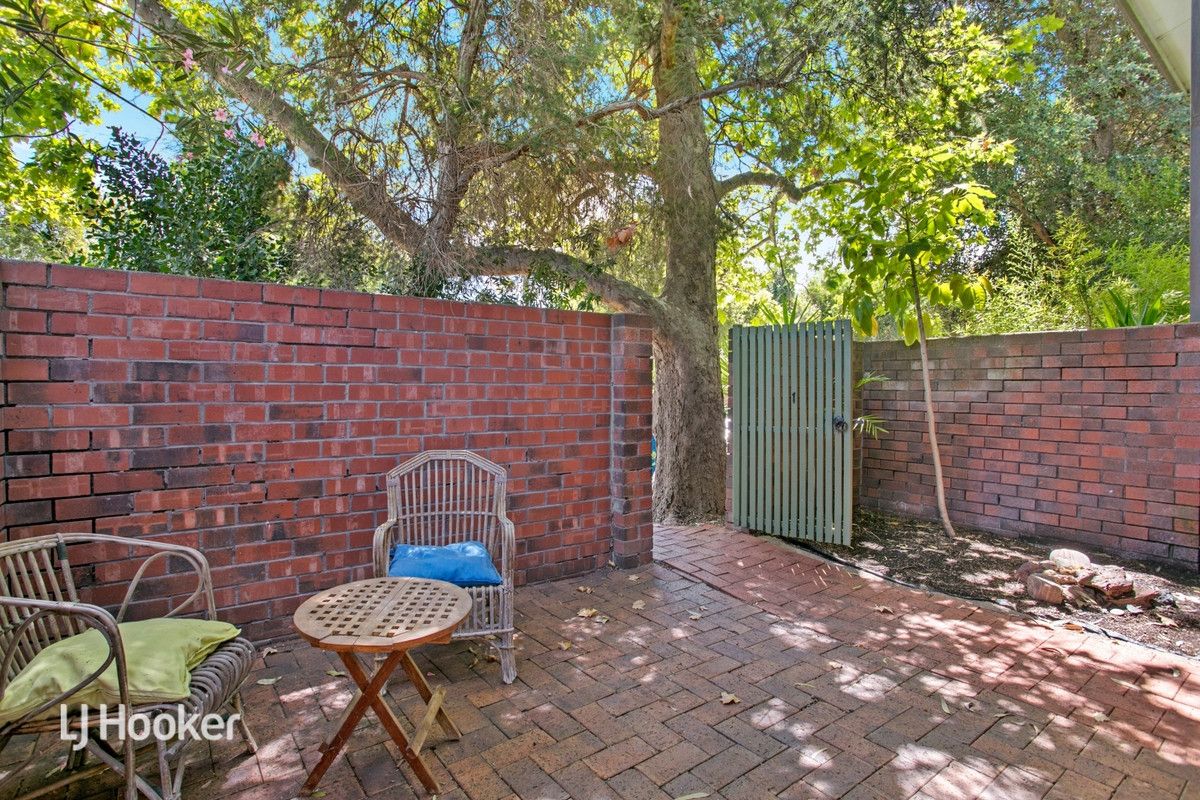 1/33 Foster Street, Parkside SA 5063, Image 1