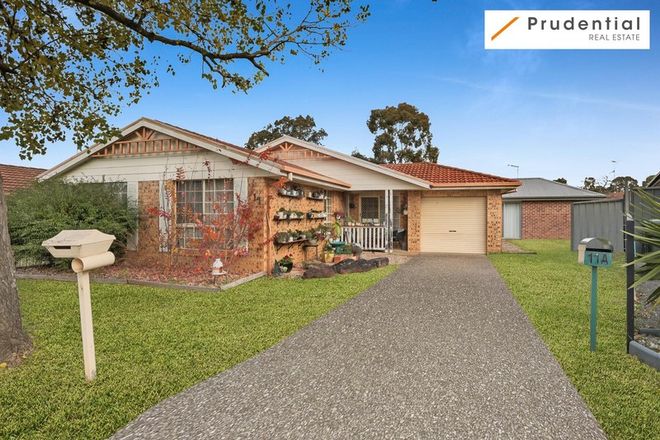 Picture of 11 Woylie Place, ST HELENS PARK NSW 2560