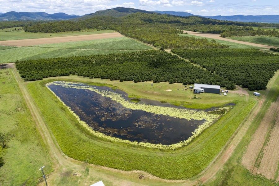 101 Harris Rd, Koumala QLD 4738 - Vacant Land for Sale | Domain