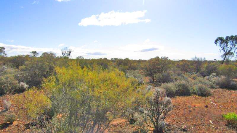 Lot 106 Lovers Lane, Morgan SA 5320, Image 1