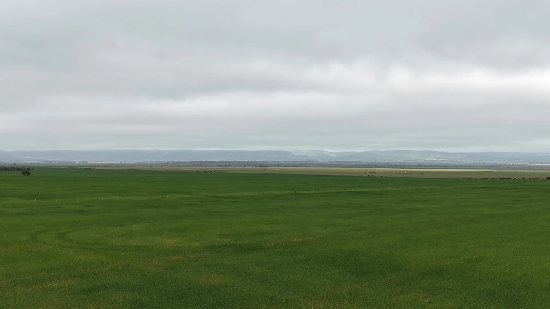 Image 15