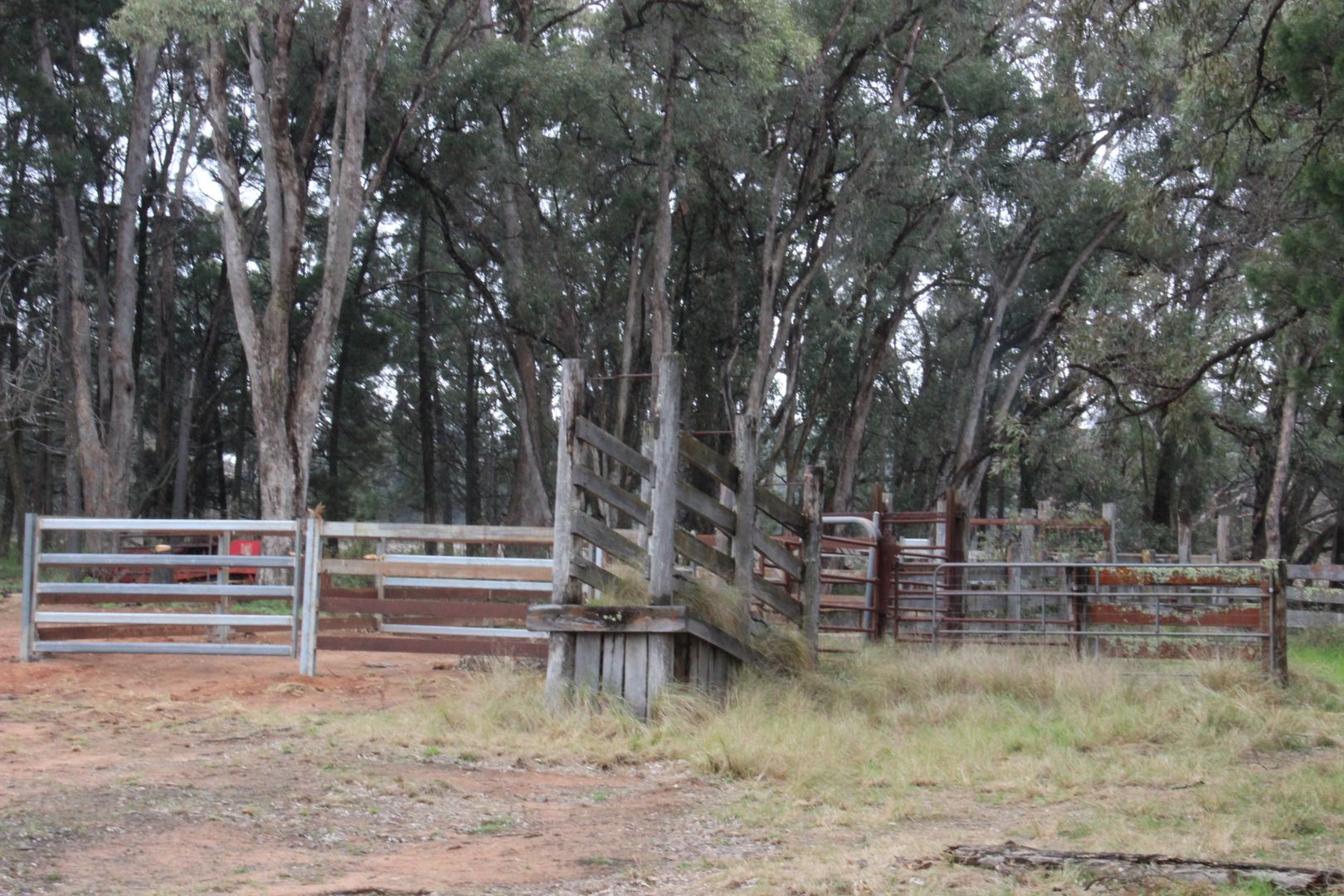 "The Junction" 8764 Newell Highway, Coonabarabran NSW 2357, Image 2