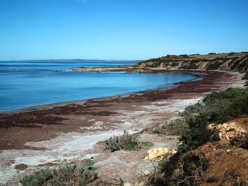 Allotment 100 Hundred of Dixson, Arno Bay SA 5603, Image 0