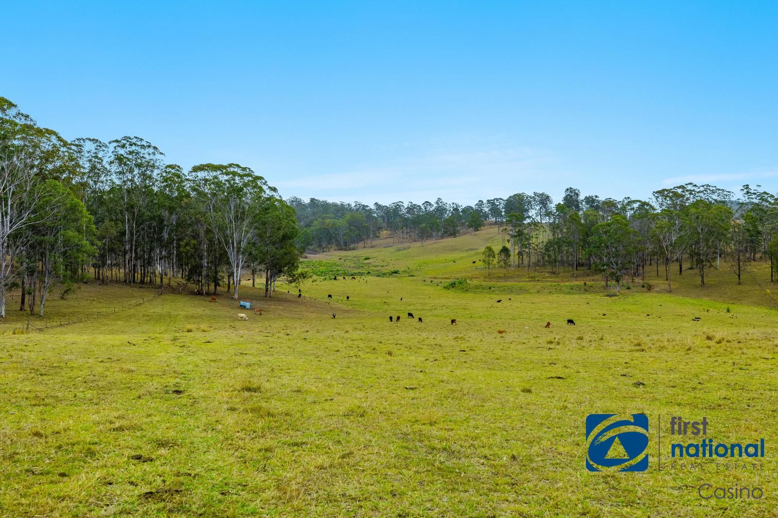 213 Dyraaba Road, Piora NSW 2470, Image 0