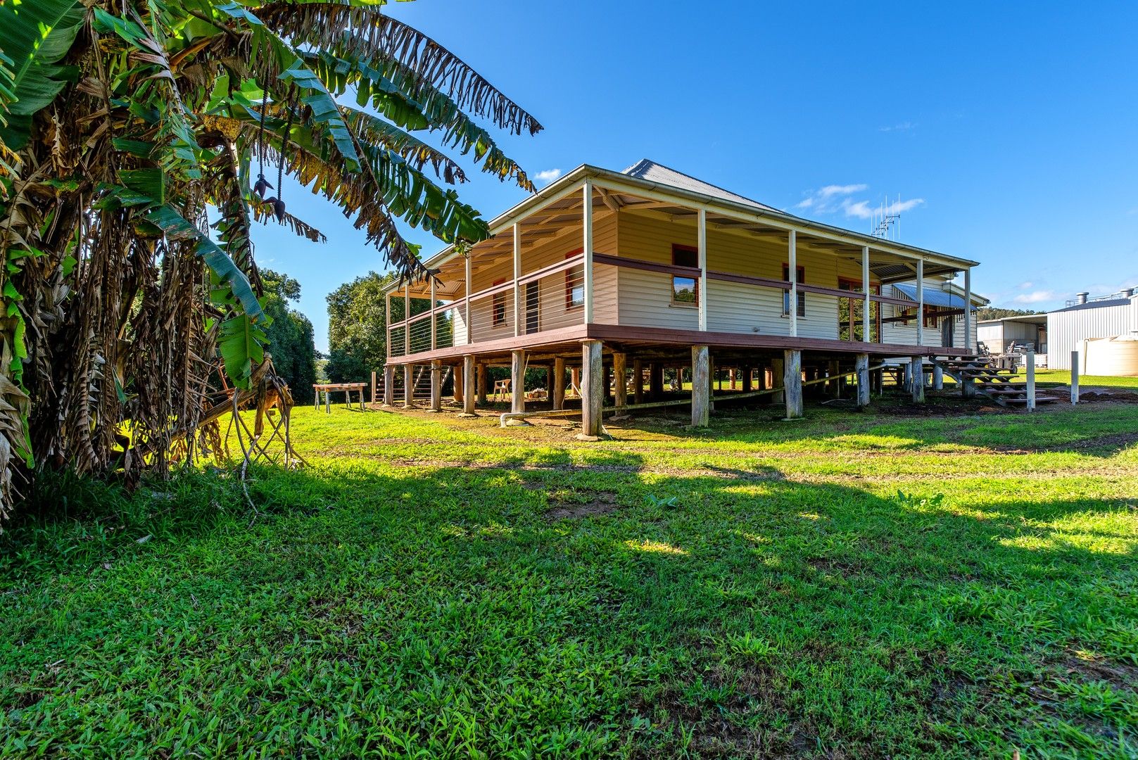 56 Treeby Road, Wilsons Pocket QLD 4570 House For Rent Domain