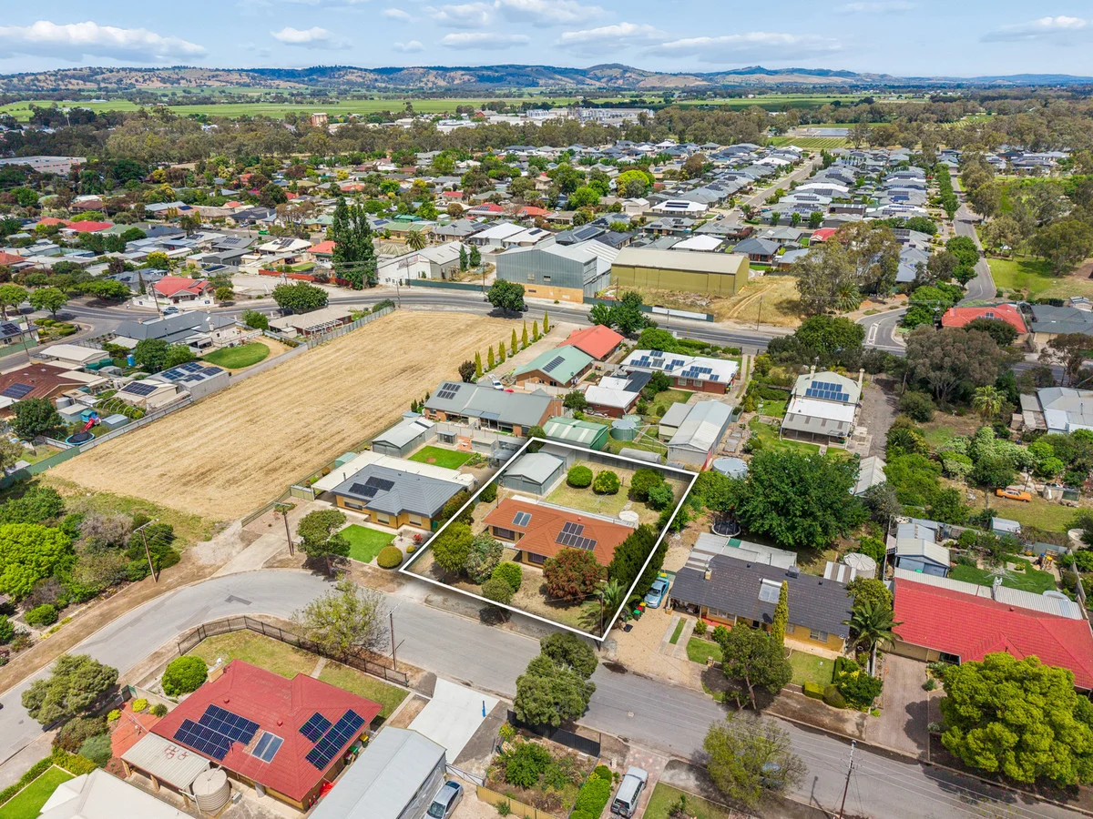 20 Hatch Street, Nuriootpa SA 5355 | Domain