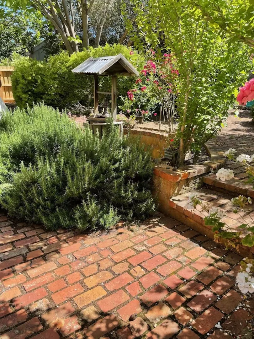 Image 30
