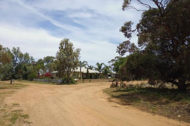 Picture of 1961 Wandearah Road, WANDEARAH WEST SA 5523