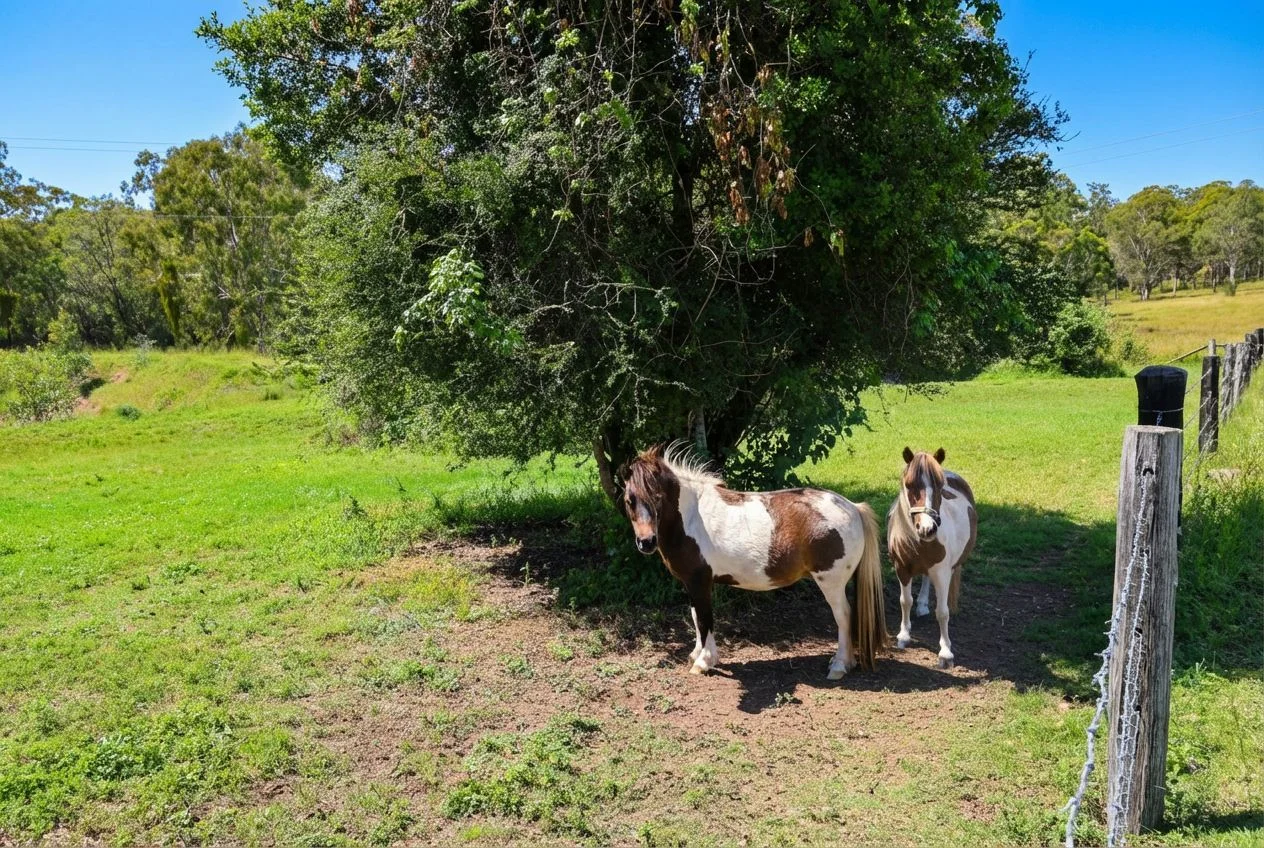 Additional image 63 of 103 Rural Road, Nanango QLD 4615